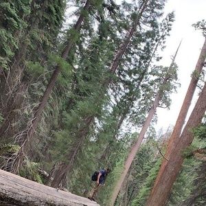 Meet your Posher, Andrew